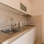 Quiet Area Rose شقة ماكارسكا