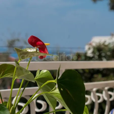 Apartment Quiet Area Rose Makarska